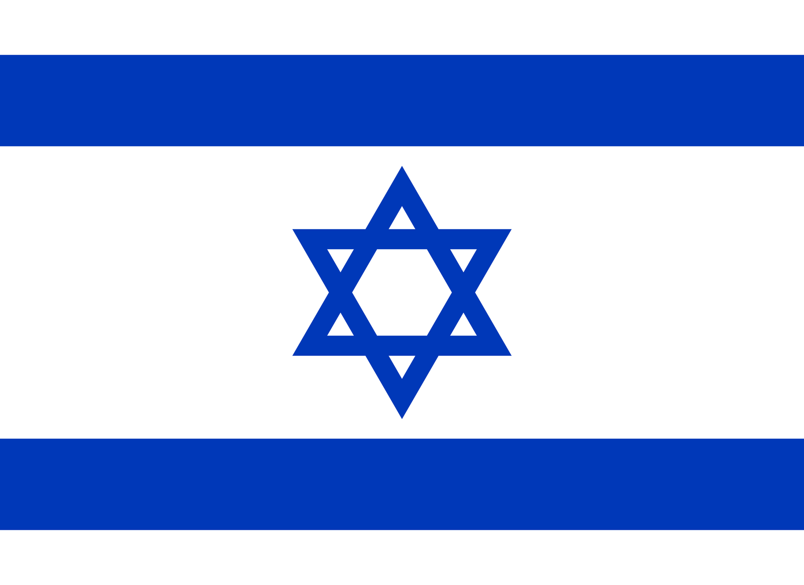 דגל ישראל COSIE